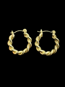 Small Hoop Earrings